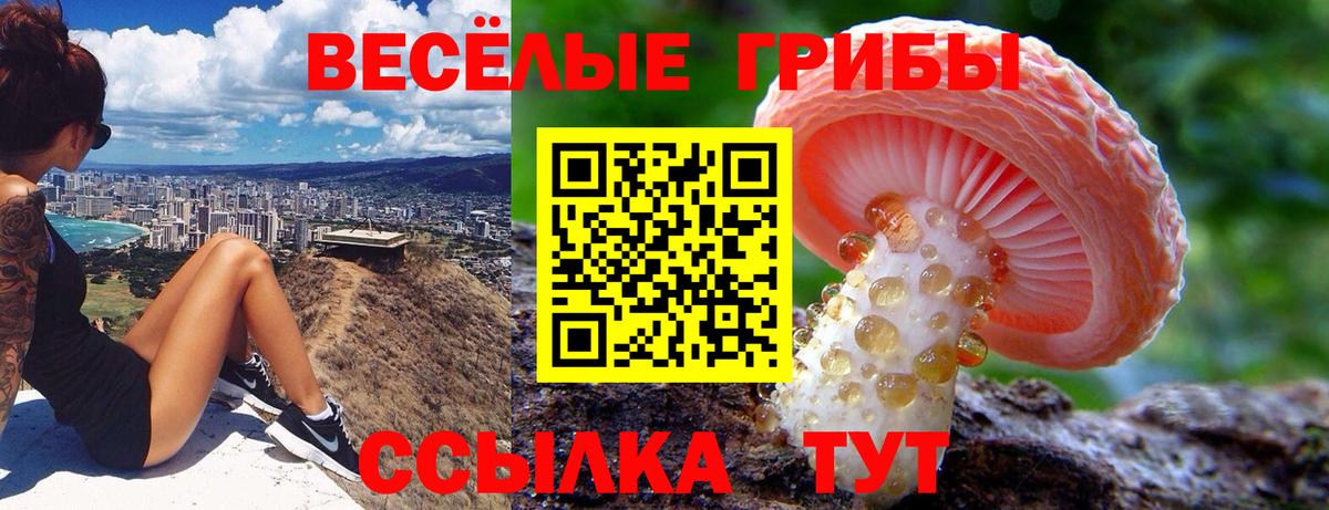 Галлюциногенные грибы MAGIC MUSHROOMS  как найти   Омск  Псилоцибиновые грибы Magic Shrooms  Вход с VPN 